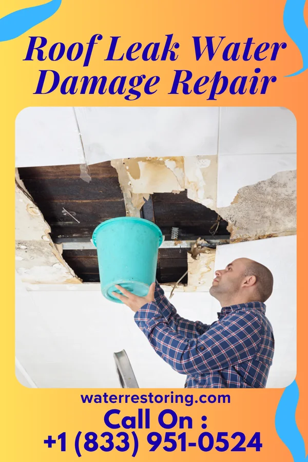 Roof Leak Water Damage Repair in East Prairie, MO