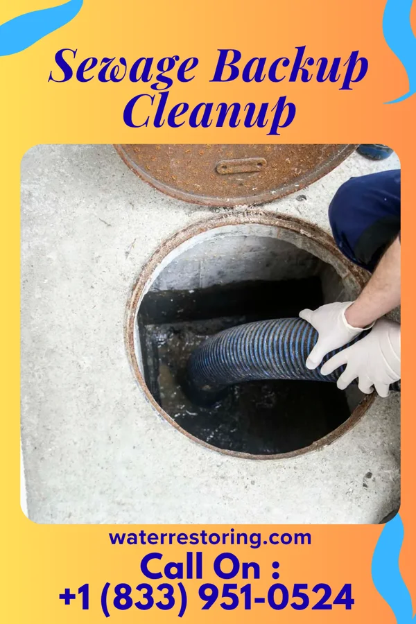 Sewage Backup Cleanup in East Prairie, MO